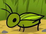 insecte.gif