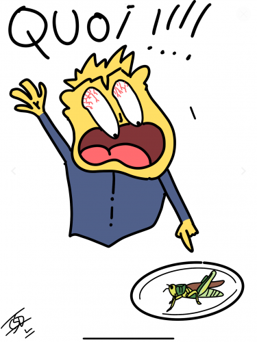 36 insectes par Charles 6è.png